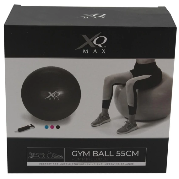 Xqmax Gym Ball 55cm - fitness labda pumpával, kék