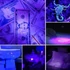 Kép 6/6 - Aptel ZD152 - LED UV taktikai lámpa, fekete