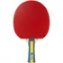 Kép 1/3 - Joola Team Master - pingpong ütő, piros/fekete/kék